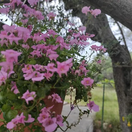 By The Sea Banjol, Rab - 23094 *
