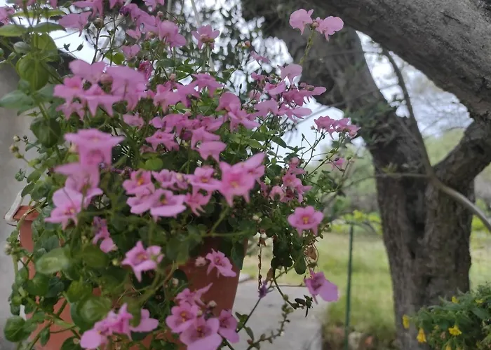 By The Sea Banjol, Rab - 23094 *